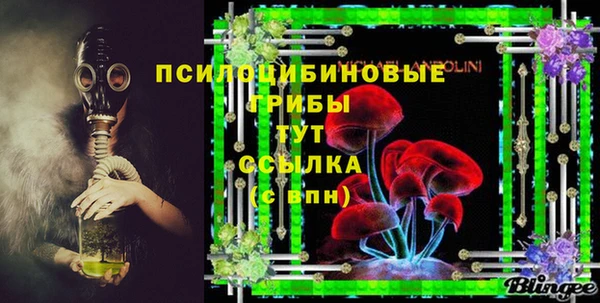 молекула духа Балахна