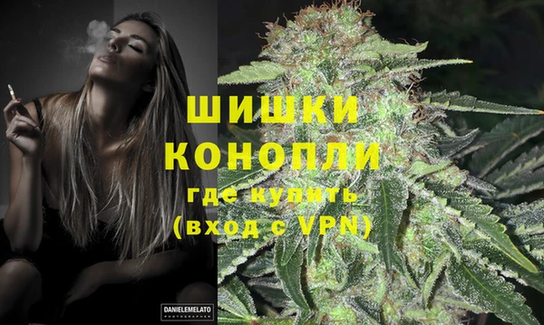 молекула духа Балахна