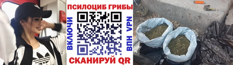 MEGA как зайти  Чкаловск  Галлюциногенные грибы MAGIC MUSHROOMS 